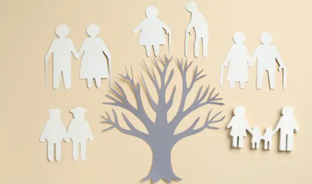 Investigación Genealógica Profesional